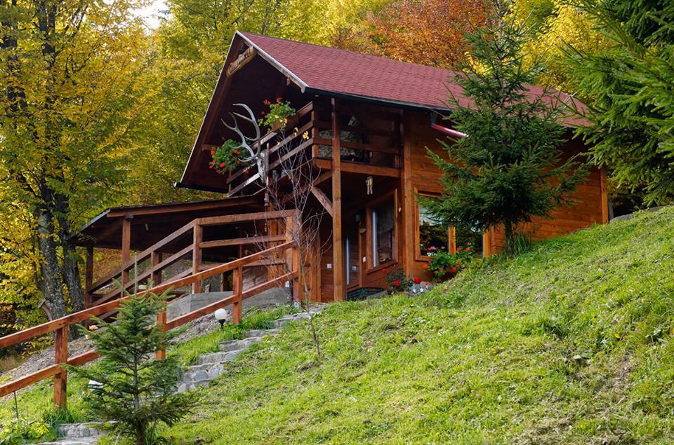 Cabana Casa Craita Zărneşti Exterior foto